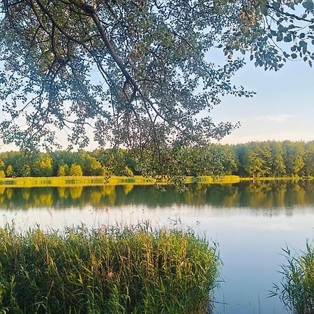 Zielony apartament z widokiem na jezioro Złotów Zewnętrze zdjęcie